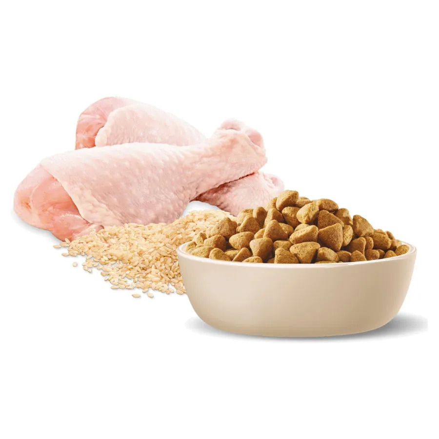 Advance Adult Healthy Weight Dry Dog Chicken And Rice Medium Breed 17kg