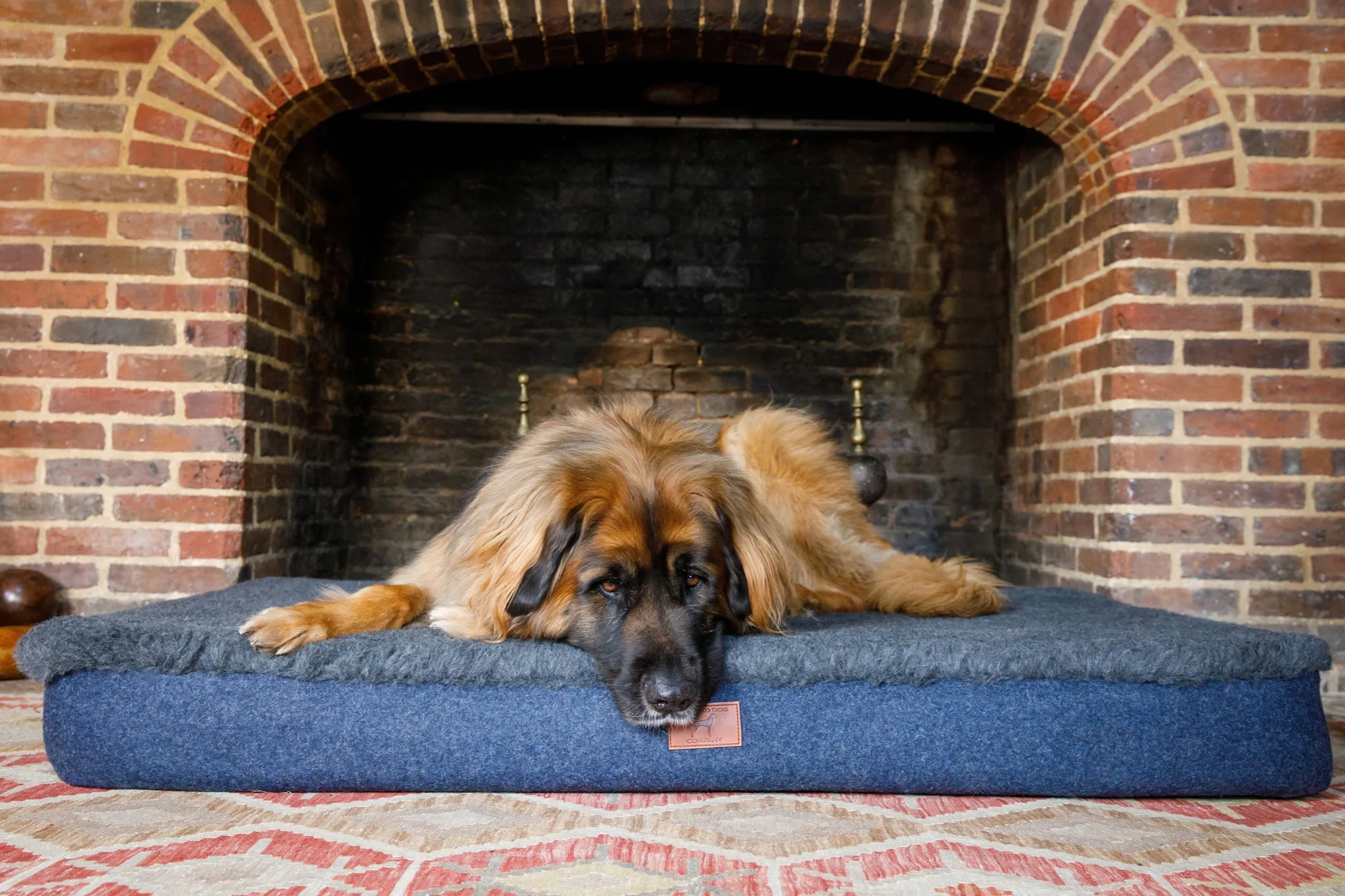 Apple Green Giant Dog Mat