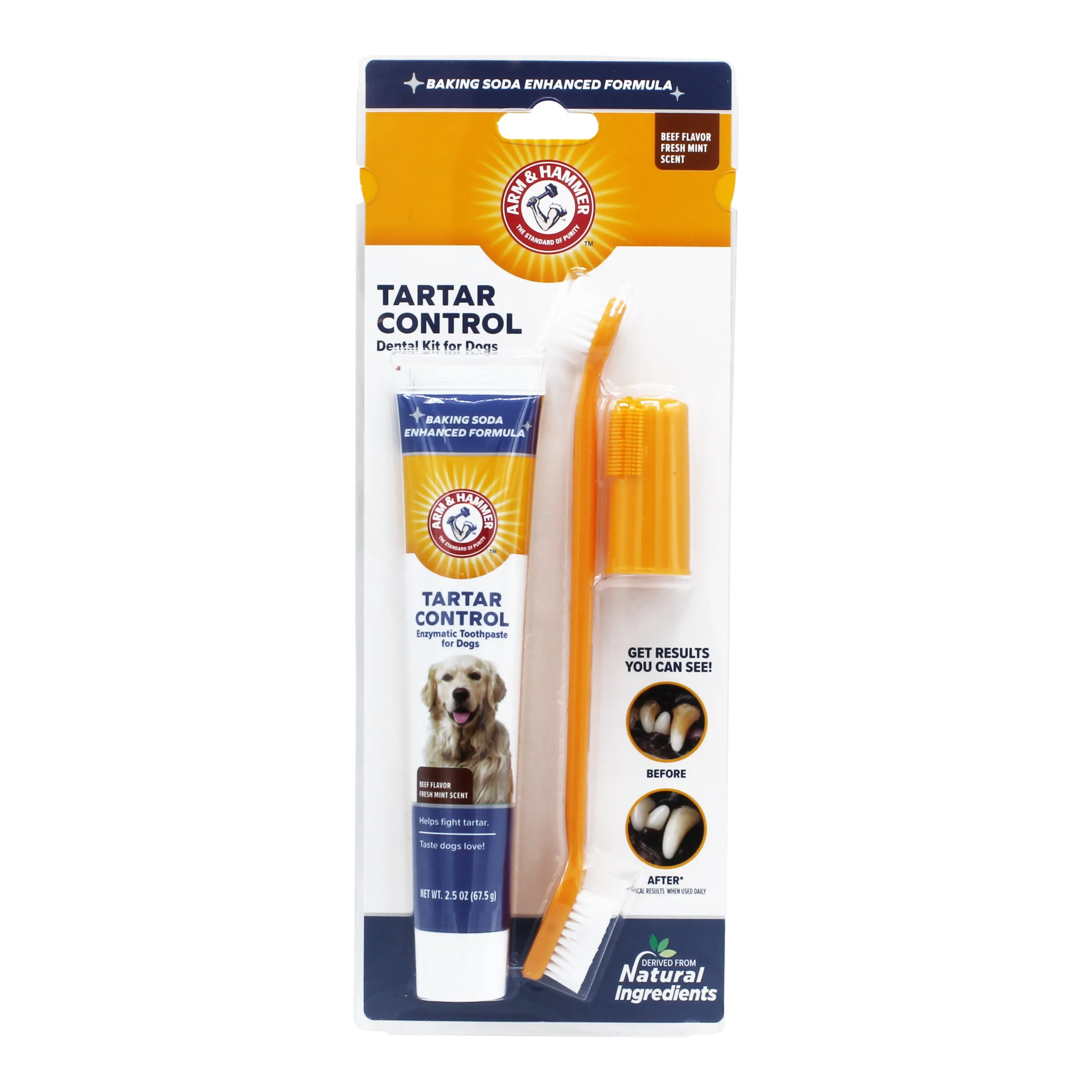 Arm & Hammer Tartar Control Dental Kit for Dogs, Beef