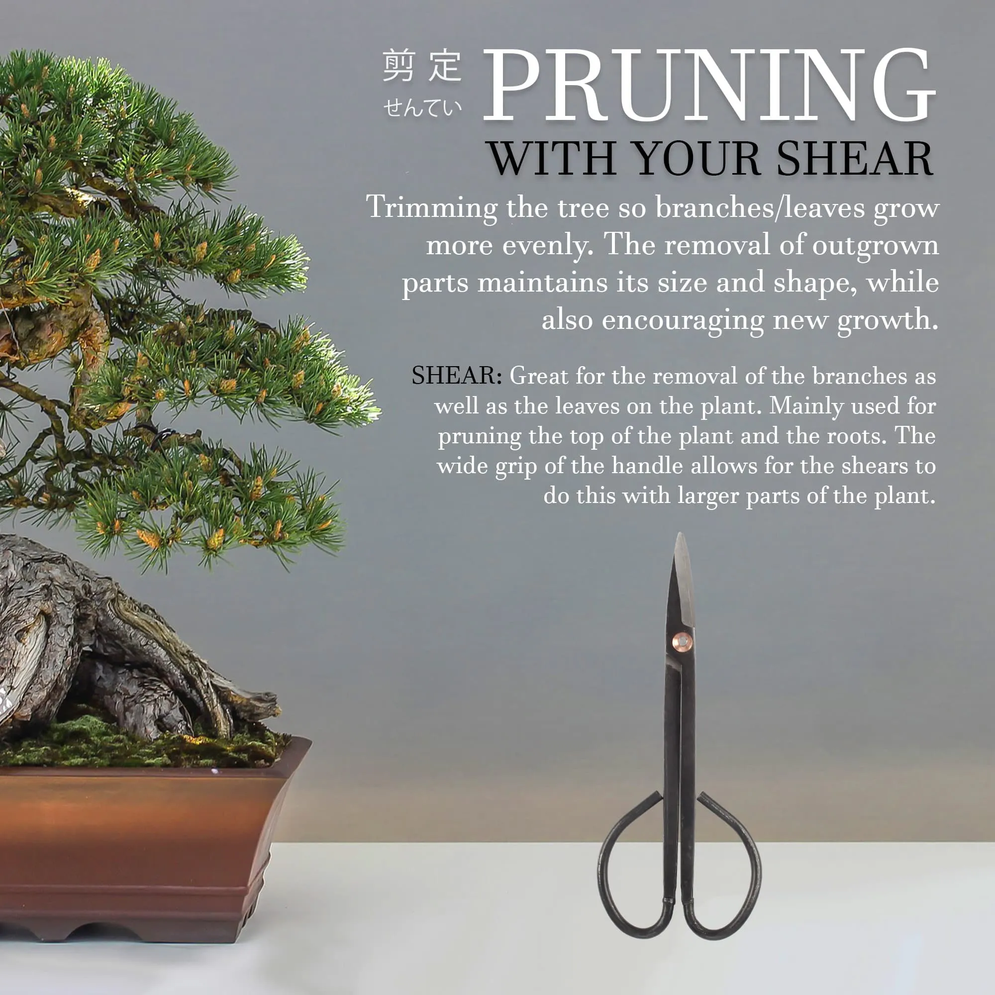 Bonsai Basics Set - 8" Knob Cutter and 7" Trimming Shear
