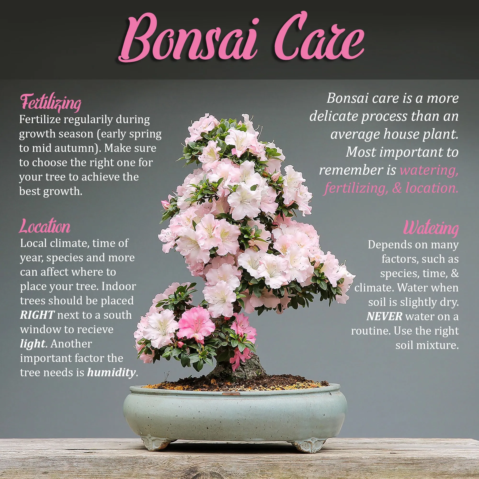Bonsai Basics Set - 8" Knob Cutter and 7" Trimming Shear