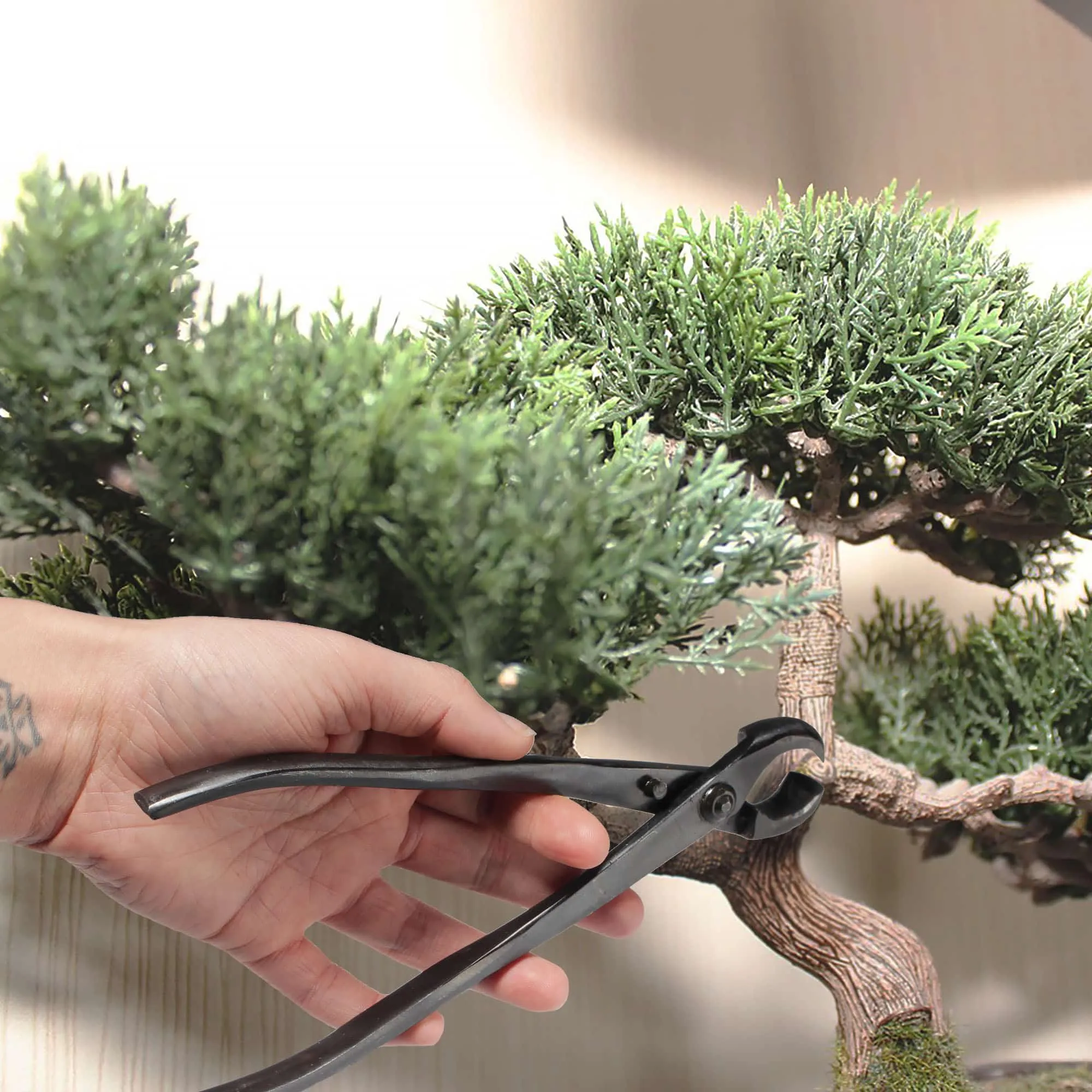 Bonsai Basics Set - 8" Knob Cutter and 7" Trimming Shear