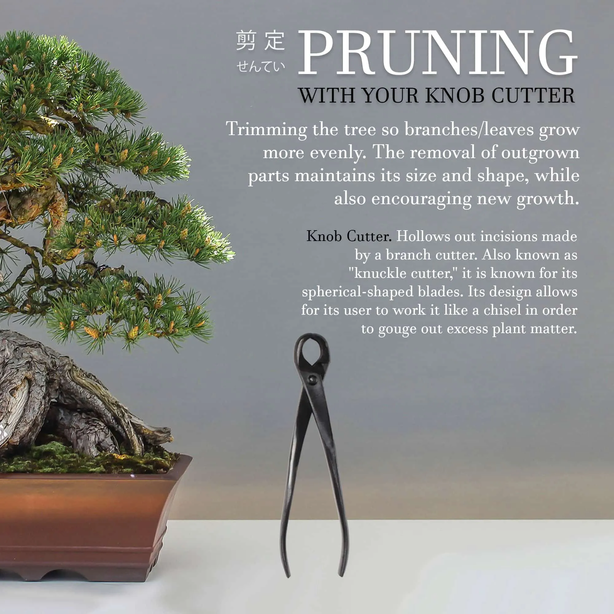 Bonsai Basics Set - 8" Knob Cutter and 7" Trimming Shear