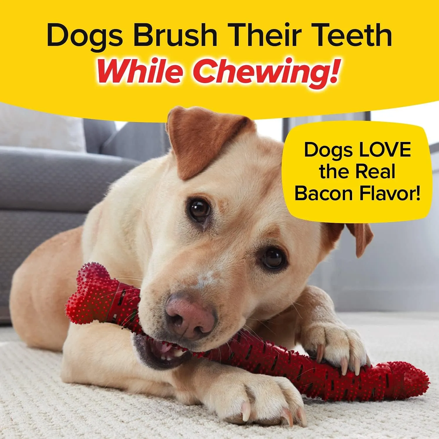 BrushBone - Dog Toothbrush Bone - Bacon Bonanza - Three Pack