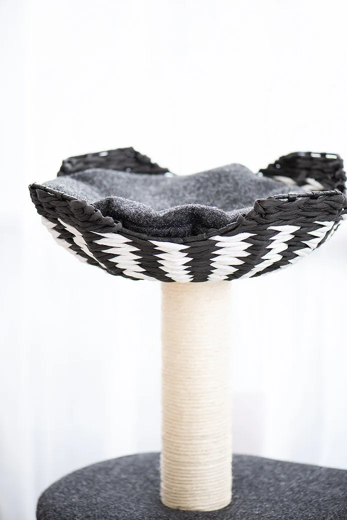 Cat Activity Tree | Ace