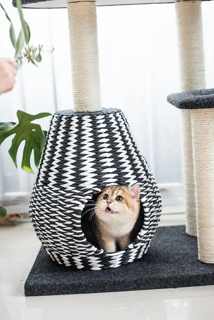 Cat Activity Tree | Ace
