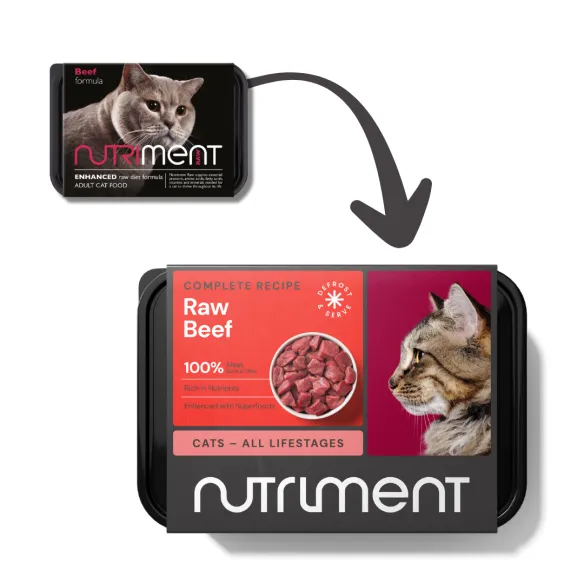 Cat Formula - Nutriment