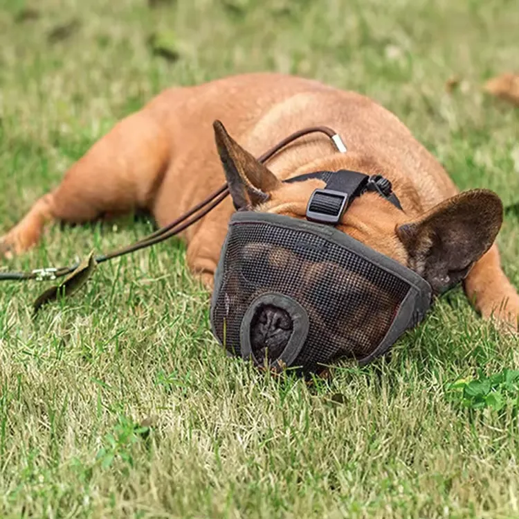 Groom Professional Comfy Short Nose Mesh Muzzle - Small