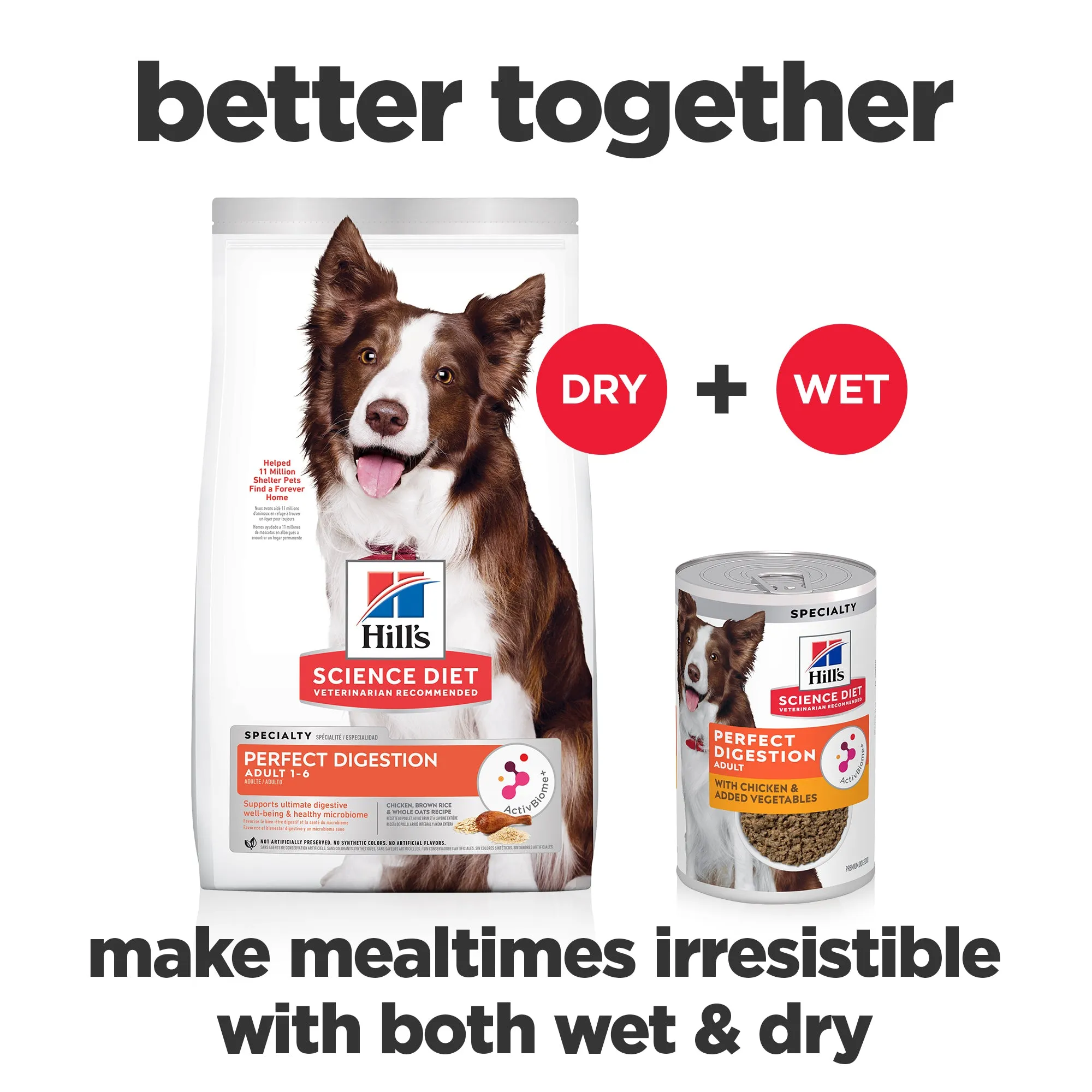 Hill's Science Diet Adult Perfect Digestion Wet Dog Food 363g x 12