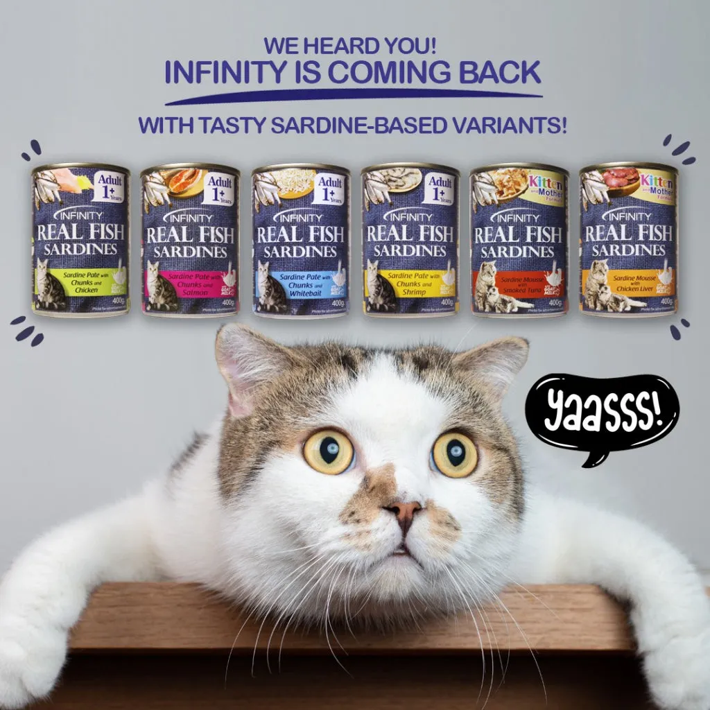 Infinity Cat Pate/Jelly Wet Food in 400g Can for Adult/Kitten