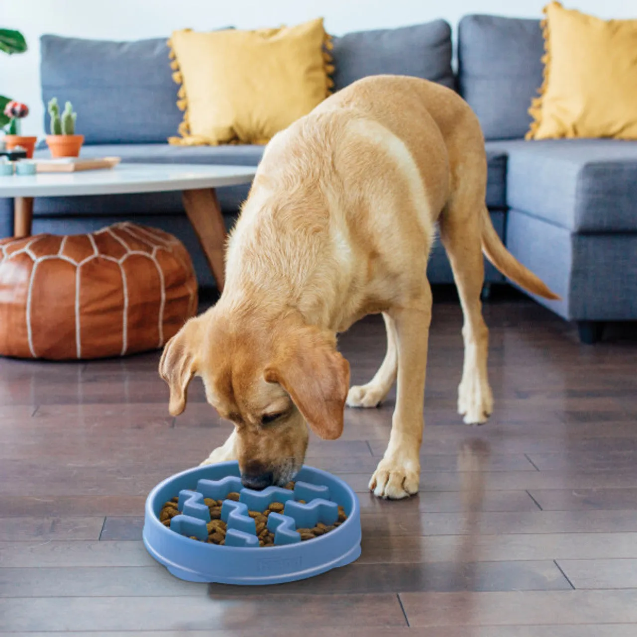 Outward Hound Fun Feeder Slo Bowl