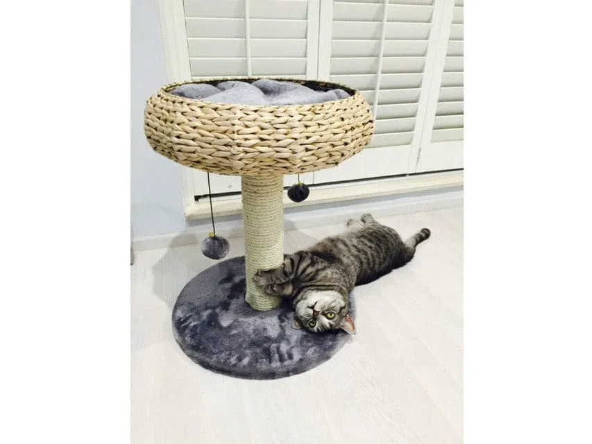 PAOLA Cat Playground - Grey