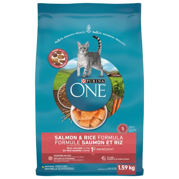Purina ONE Salmon & Rice Formula Dry Cat Food, 1.59kg