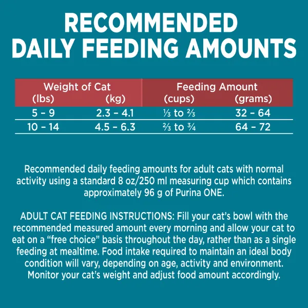 Purina ONE Salmon & Rice Formula Dry Cat Food, 1.59kg