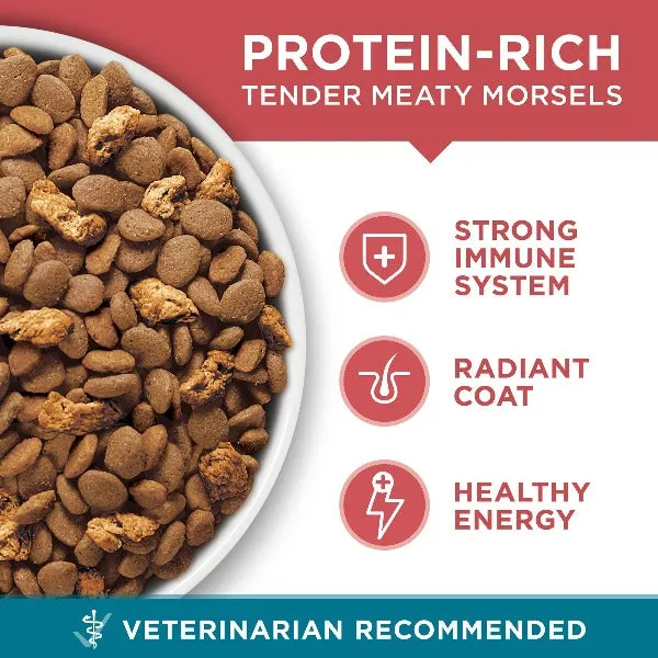 Purina ONE Salmon & Rice Formula Dry Cat Food, 1.59kg