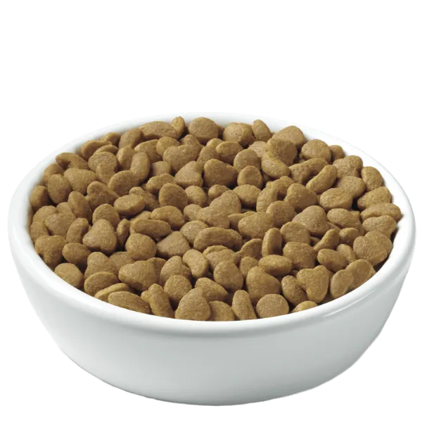 Purina Pro Plan Kitten Chicken & Rice Formula Dry Kitten Food, 7lb