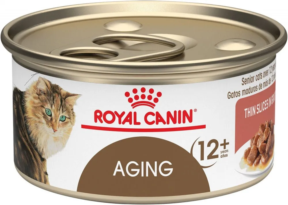 Royal Canin Aging 12  Senior Thin Slices in Gravy Canned Cat Food
