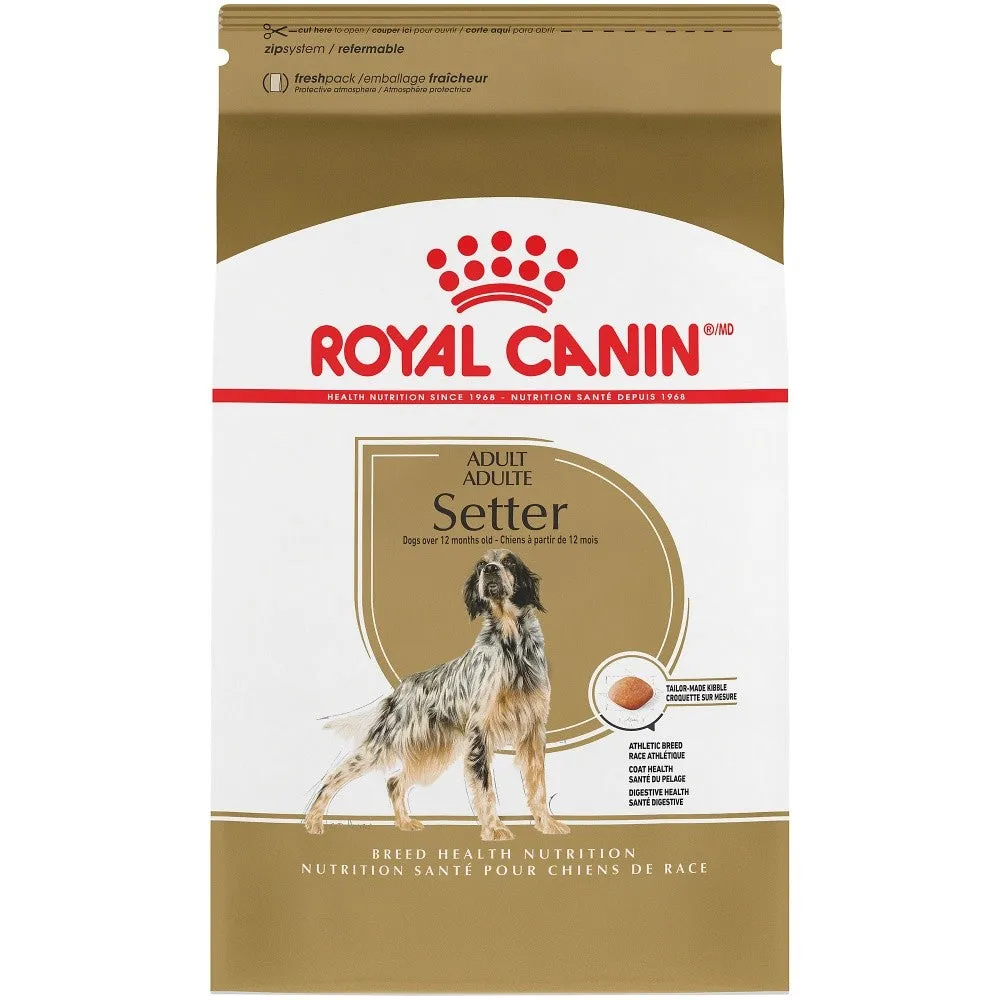 Royal Canin Breed Health Nutrition Adult Setter Dry Dog Food