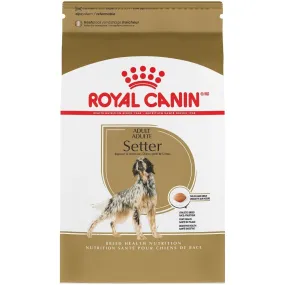 Royal Canin Breed Health Nutrition Adult Setter Dry Dog Food
