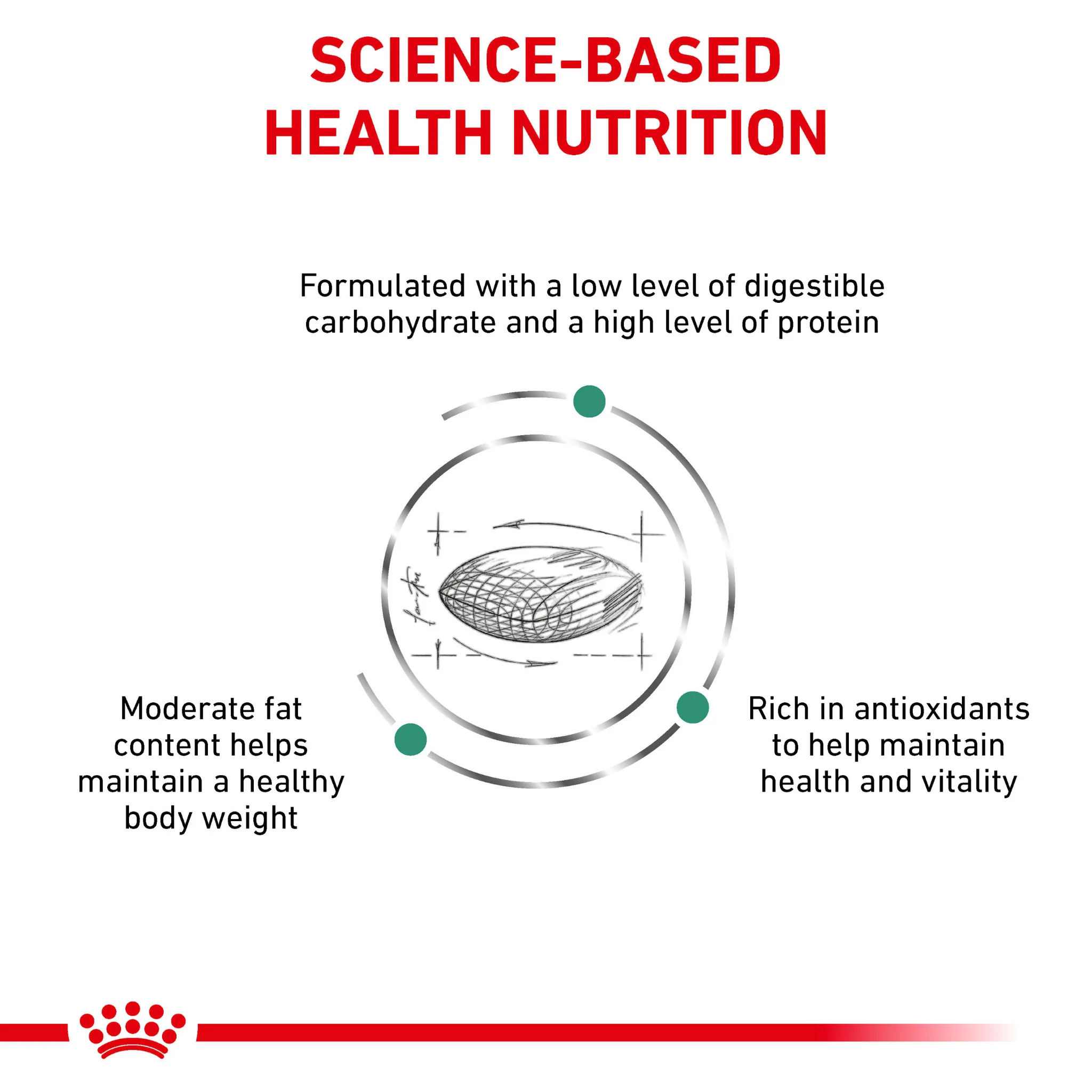 ROYAL CANIN® Diabetic Adult Dry Cat Food