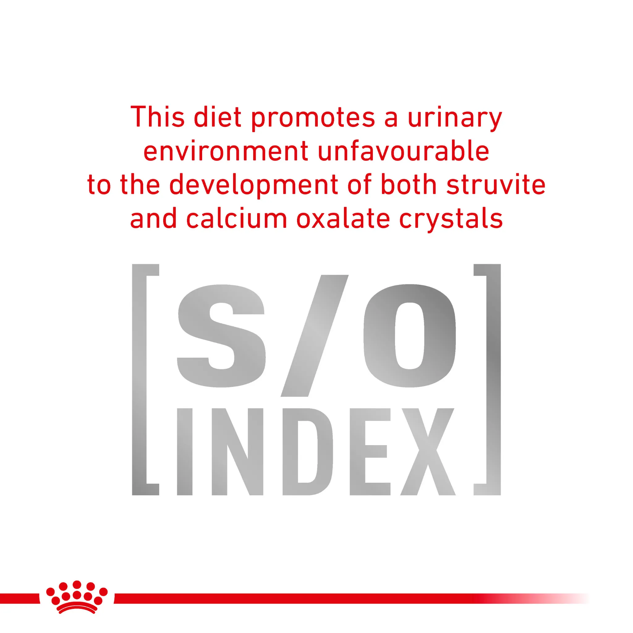 ROYAL CANIN® Diabetic Adult Dry Cat Food