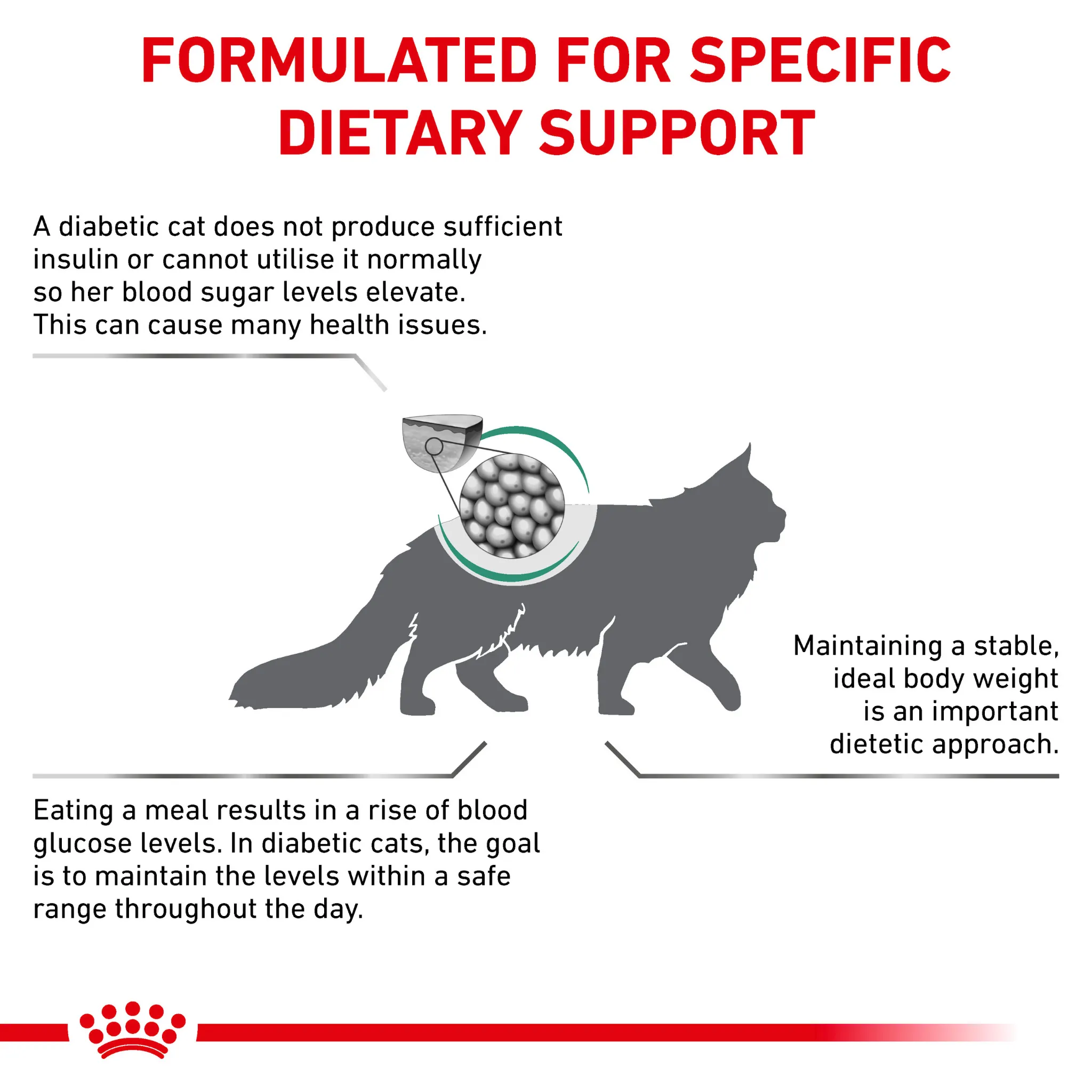 ROYAL CANIN® Diabetic Adult Dry Cat Food