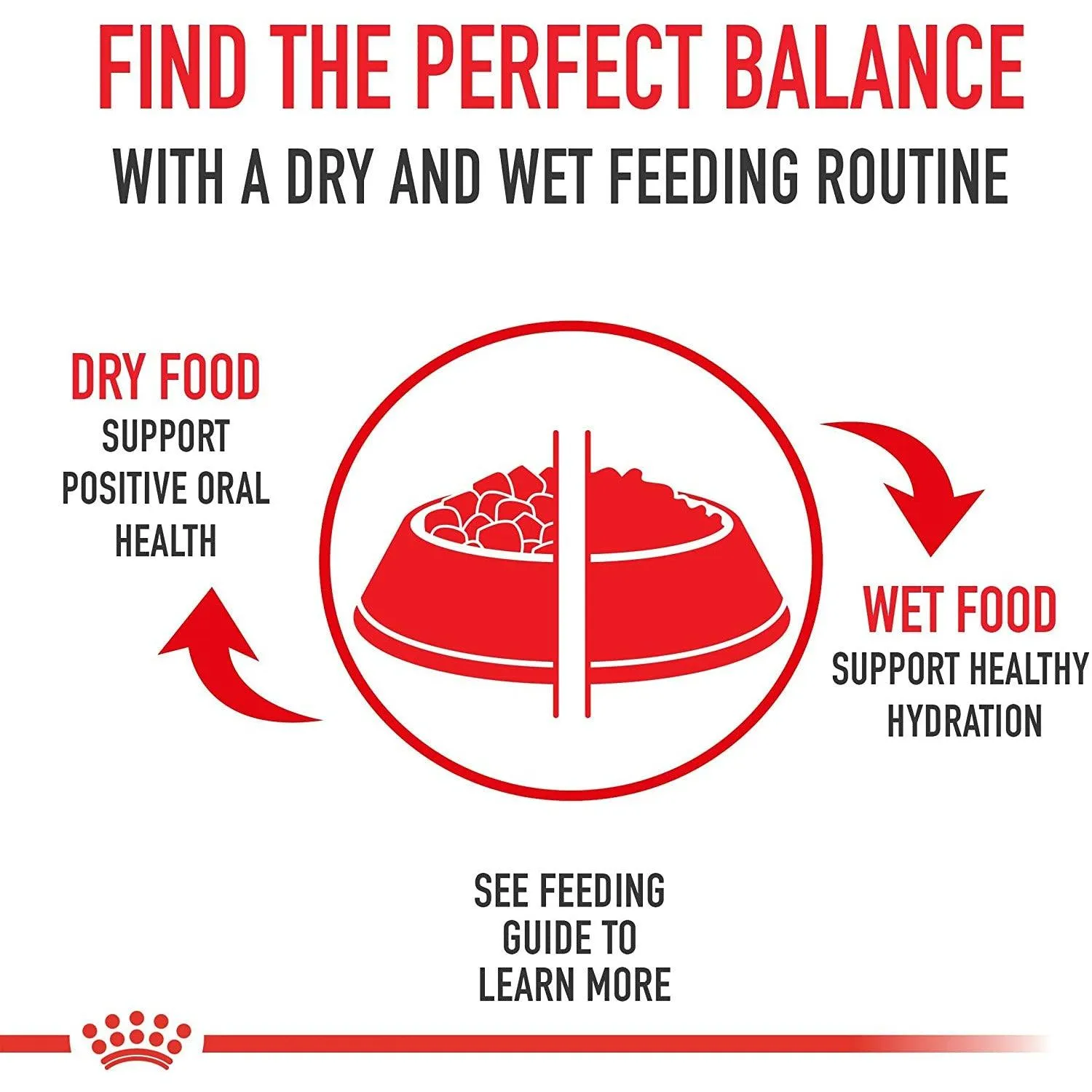 Royal Canin® Feline Health Nutrition™ Sensitive Digestion Dry Adult Cat Food