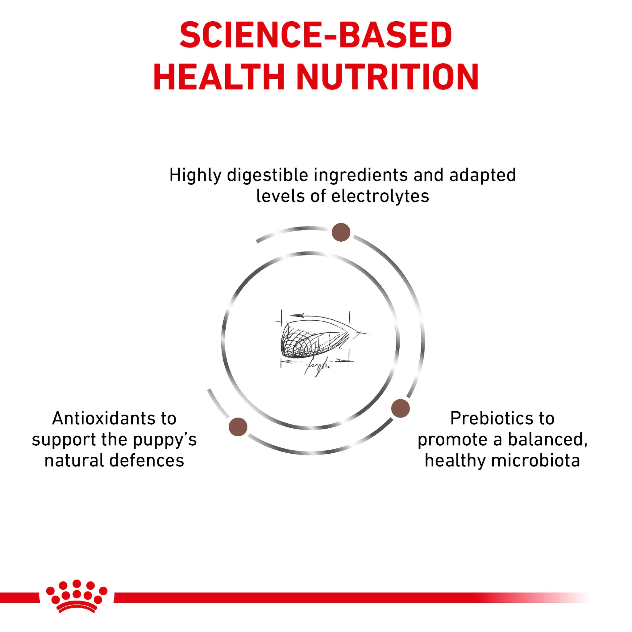 ROYAL CANIN® Gastrointestinal Puppy Dry Dog Food