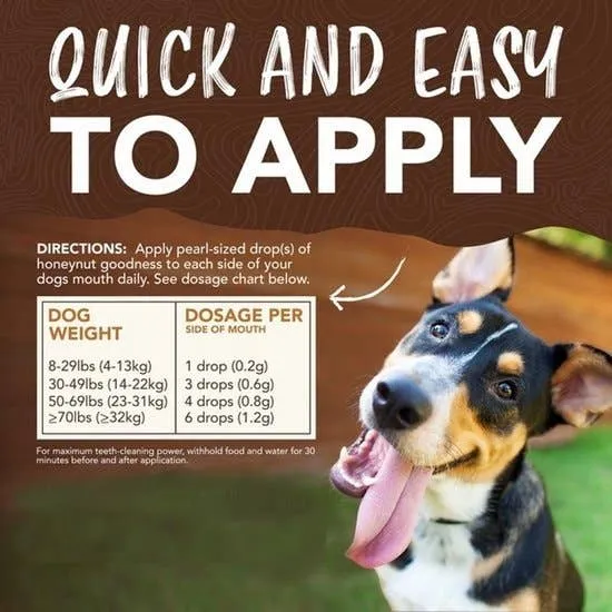 Tropiclean | Dog Dental Care |  Enticer Teeth Cleaning Gel - Variety Pack