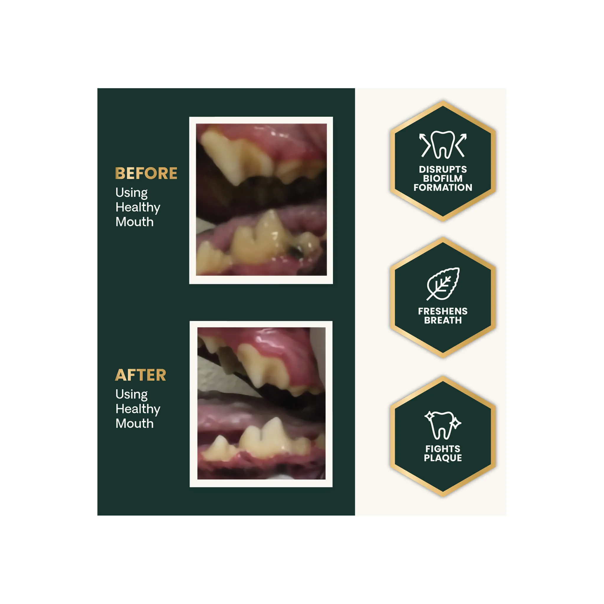 VetriScience Healthy Mouth Dental Dog & Cat Supplement
