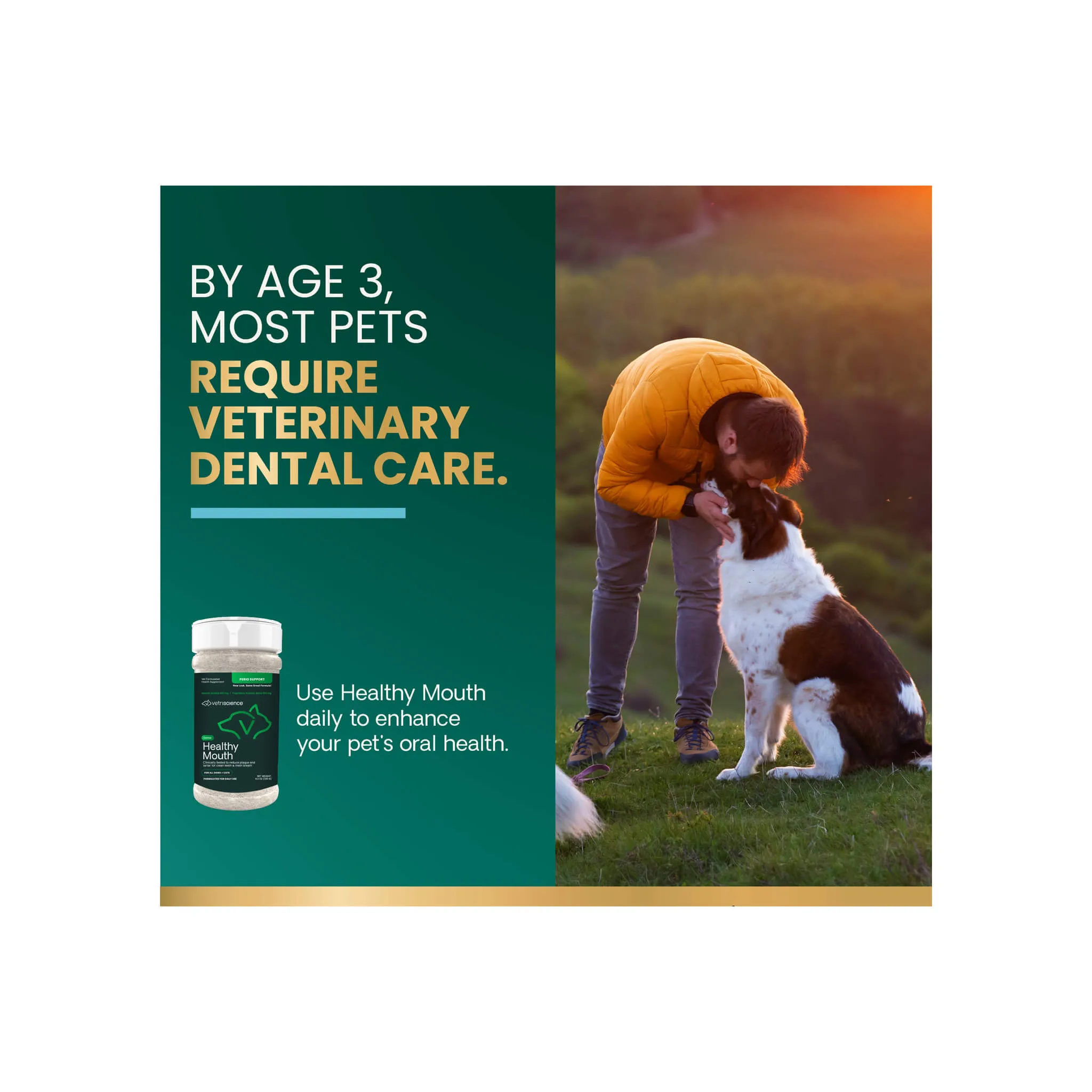 VetriScience Healthy Mouth Dental Dog & Cat Supplement